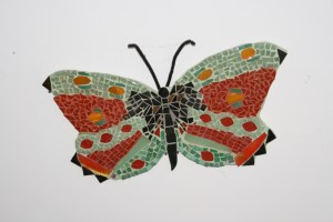 papillon "albertini"